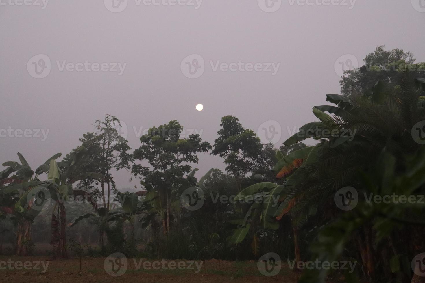 hermosa vista del pueblo con la naturaleza foto