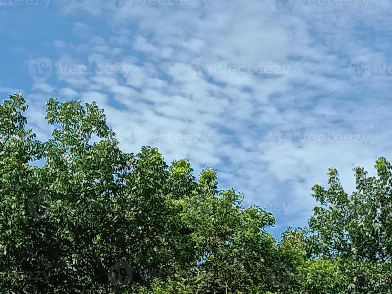 Blue Sky With Beautiful Green Nature photo