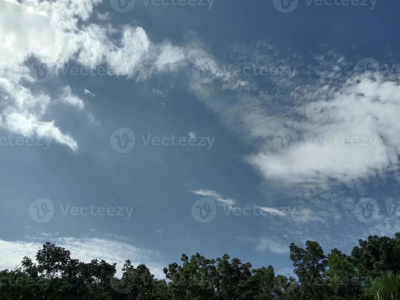 cielo azul con hermosa naturaleza verde foto