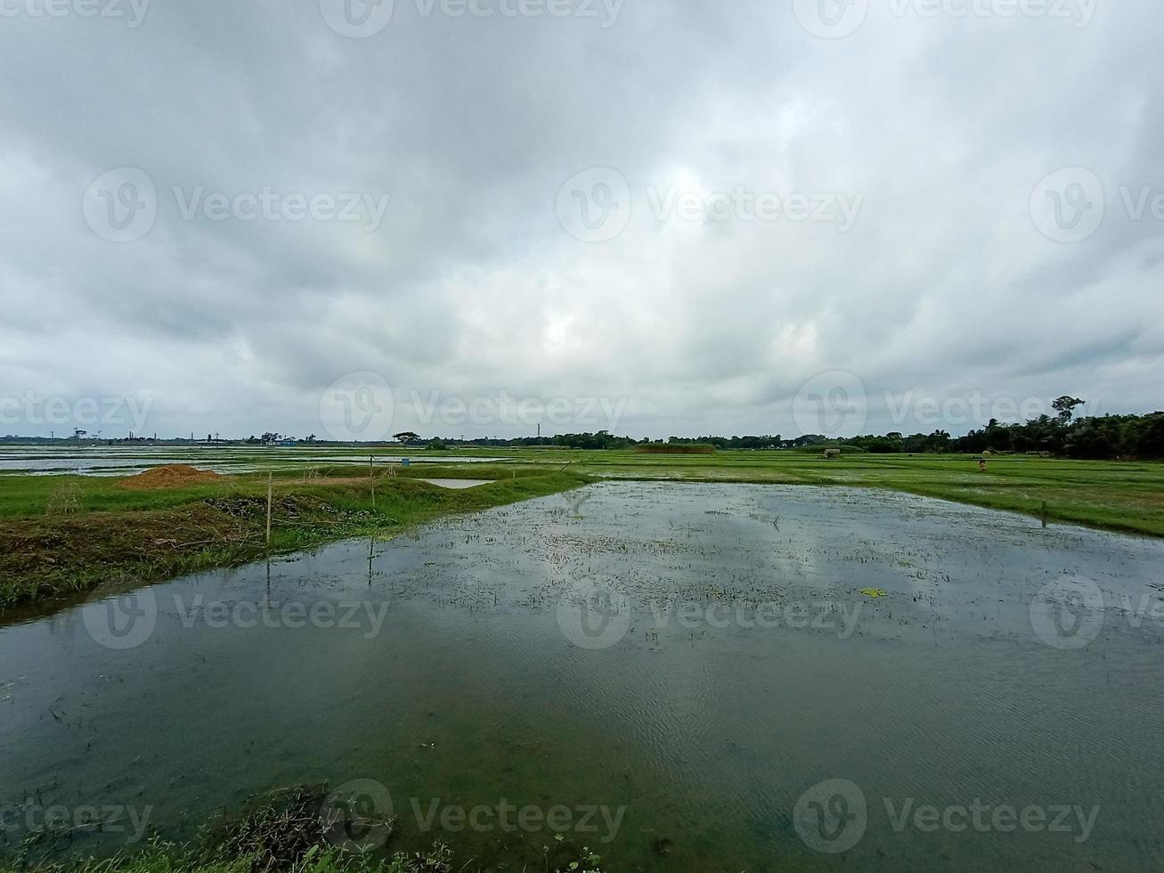 vista al lago y al cielo con verde foto