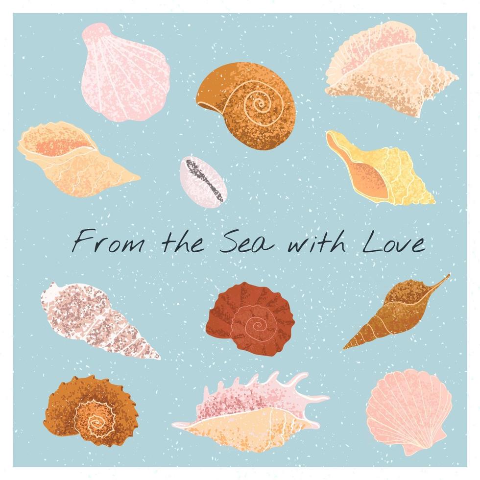 vector colorido conjunto con ilustraciones dibujadas a mano de conchas marinas en el fondo del océano. elementos para sus diseños de tarjetas de felicitación, carteles, papel de embalaje, camisetas impresas, tarjetas