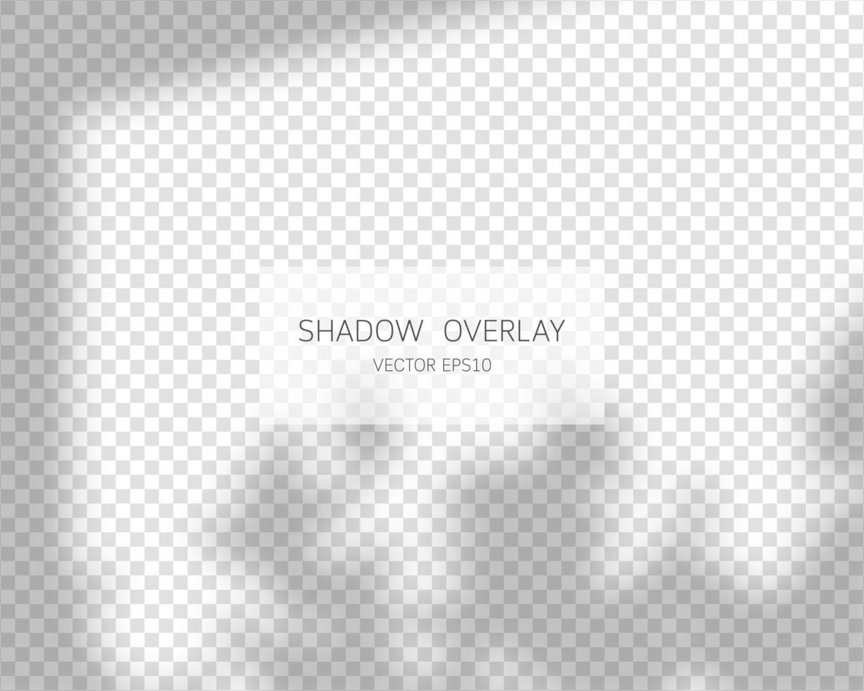 Shadow overlay effect. Natural shadows from window isolated on transparent background. Vector illustration.