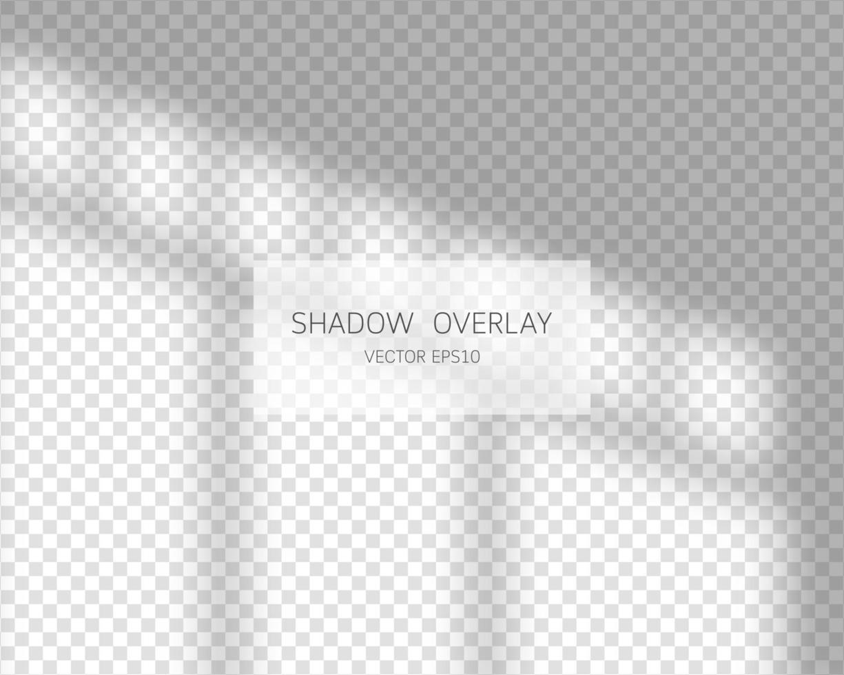 Shadow overlay effect. Natural shadows from window isolated on transparent background. Vector illustration.