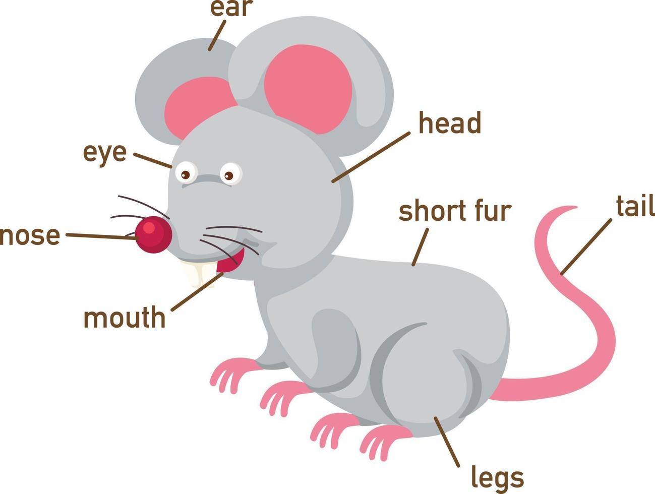 Illustration of rat vocabulary part of body.vector vector