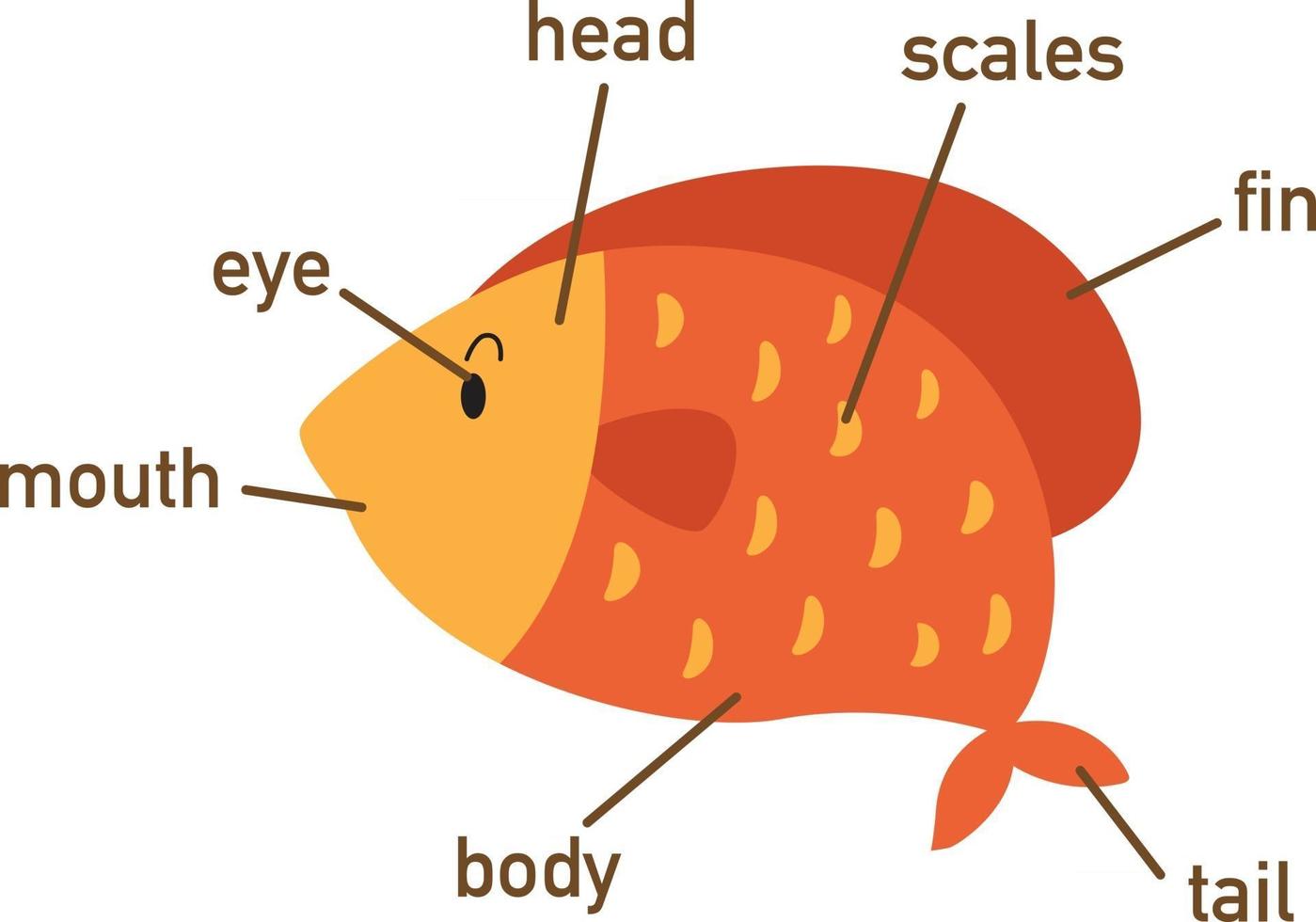 Ilustración de la parte de vocabulario de peces de body.vector vector