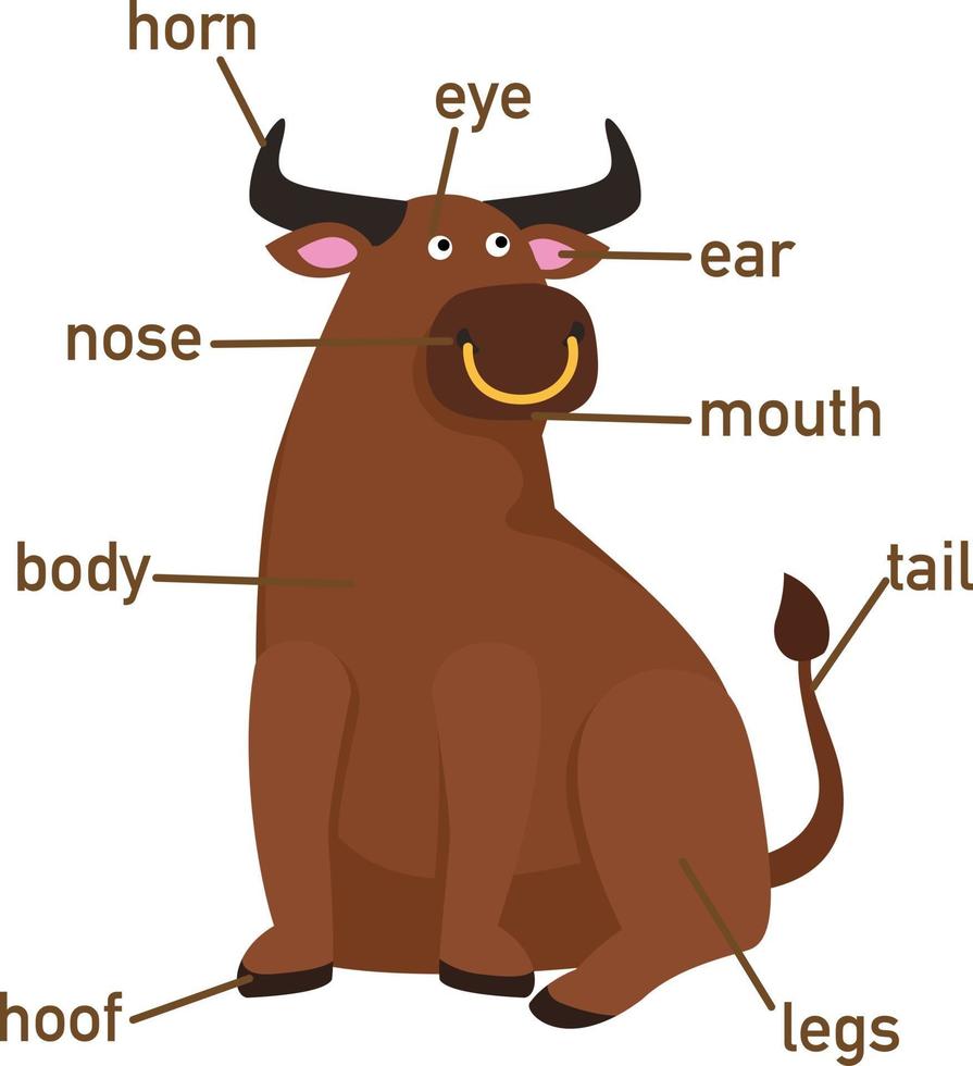 Ilustración de la parte del vocabulario yak de body.vector vector