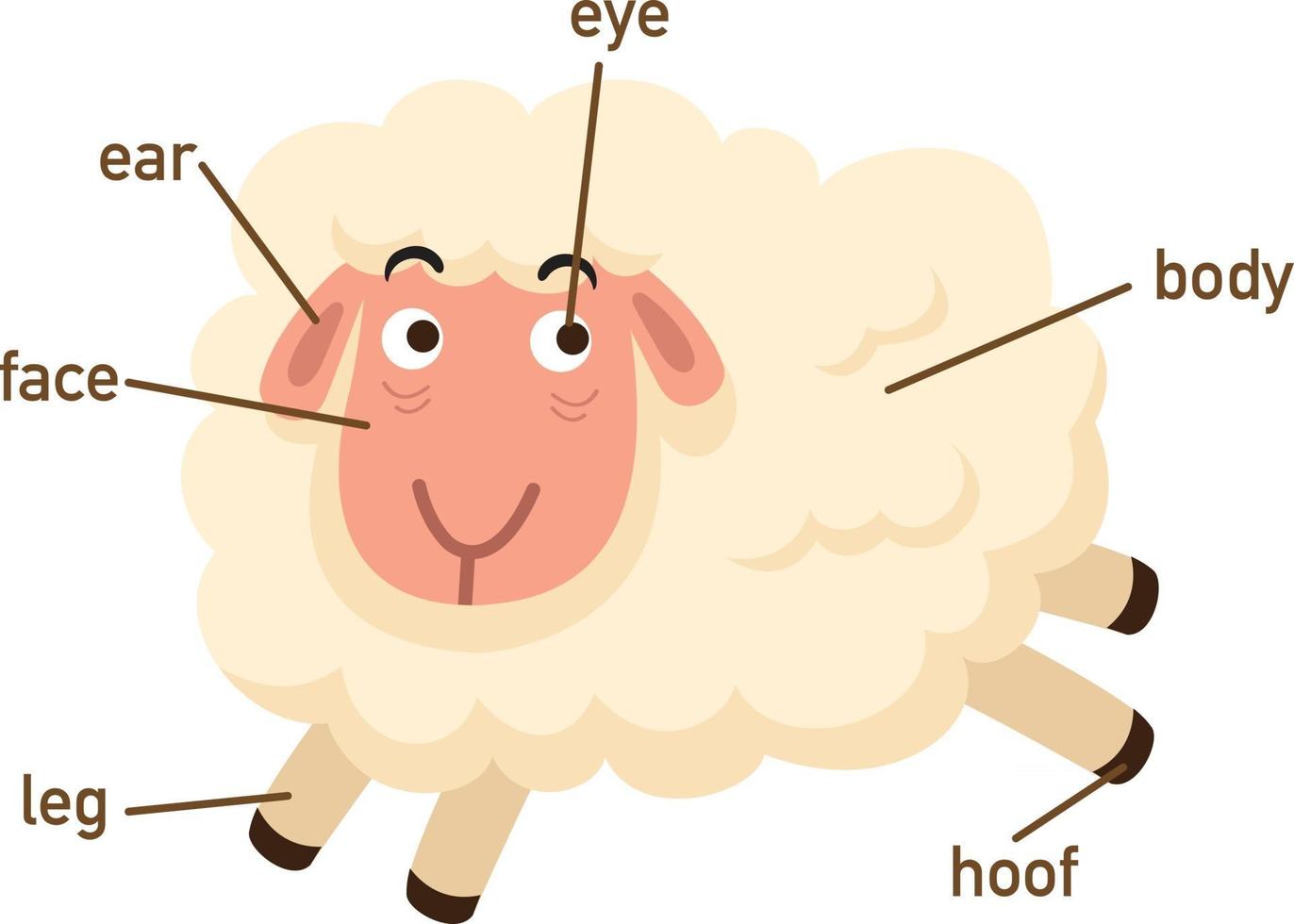 Illustration of sheep vocabulary part of body.vector vector