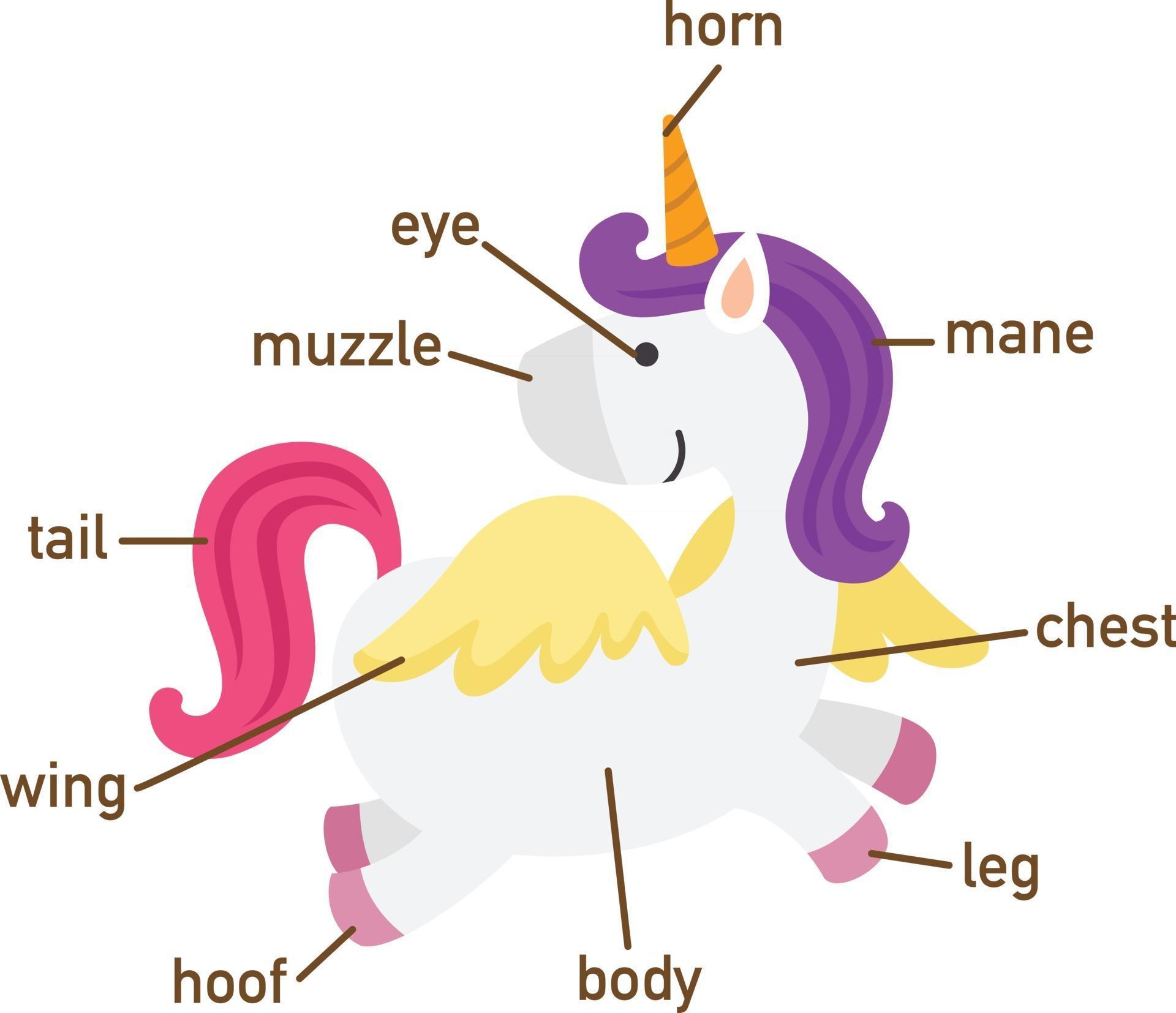 Illustration of unicorn vocabulary part of body.vector 2926224 Vector Art at Vecteezy