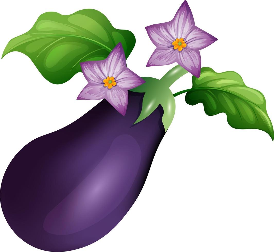 berenjena con ilustración de vector de hoja