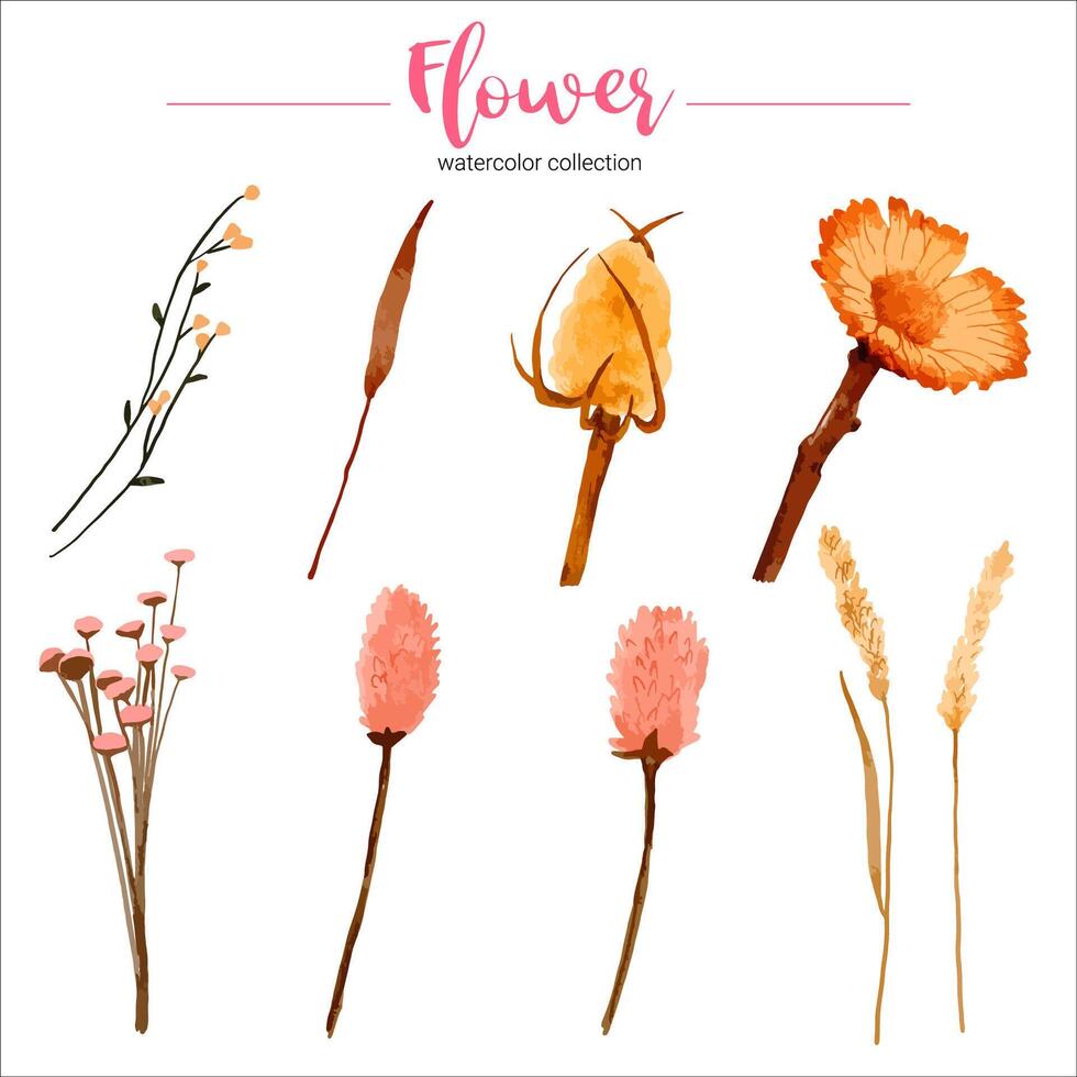 Watercolor flower set vector