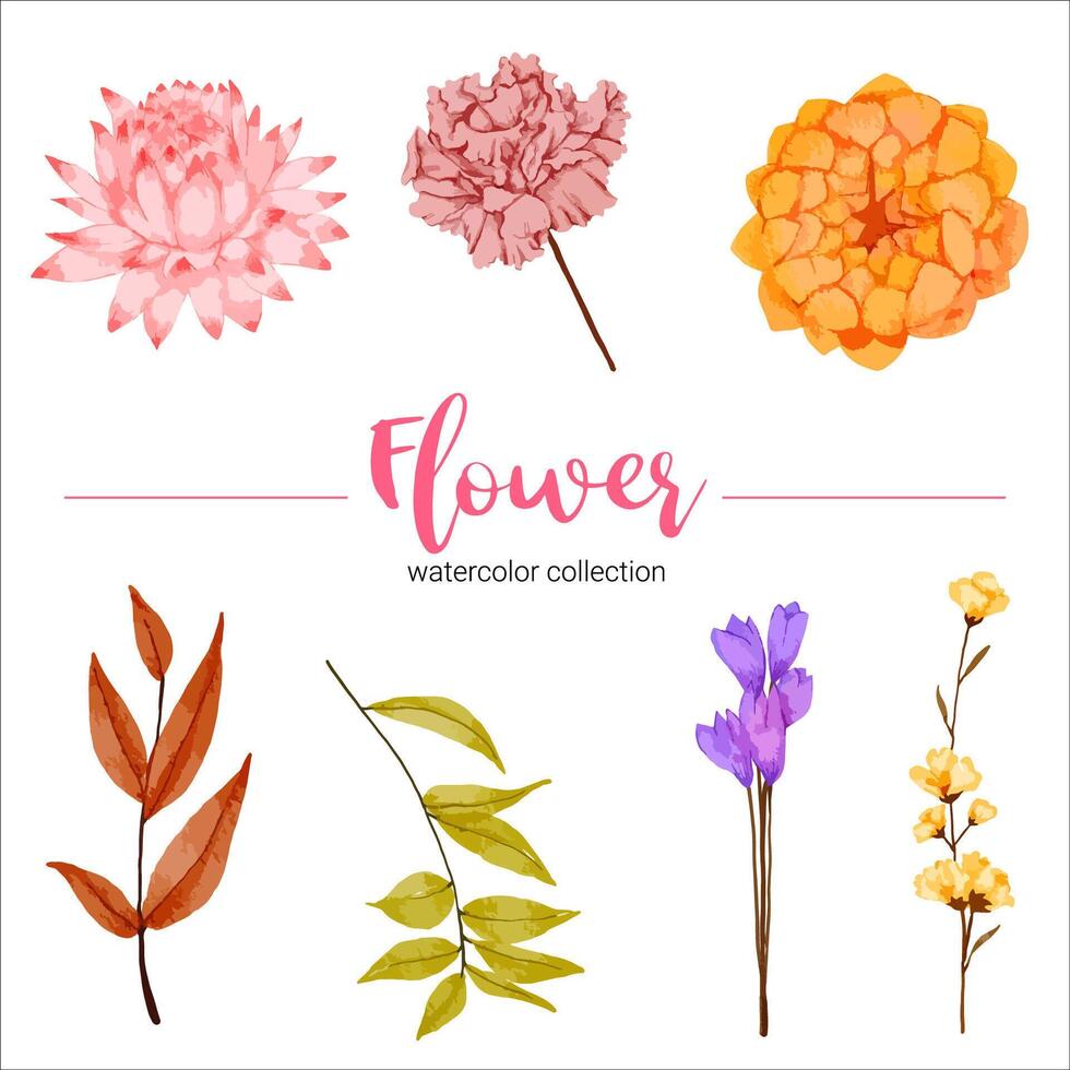 Watercolor flower set vector