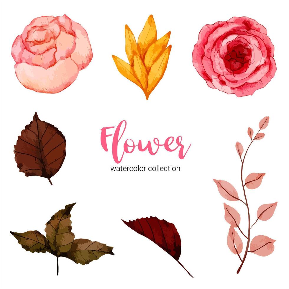 collection of watercolor illustration beautiful flower vector