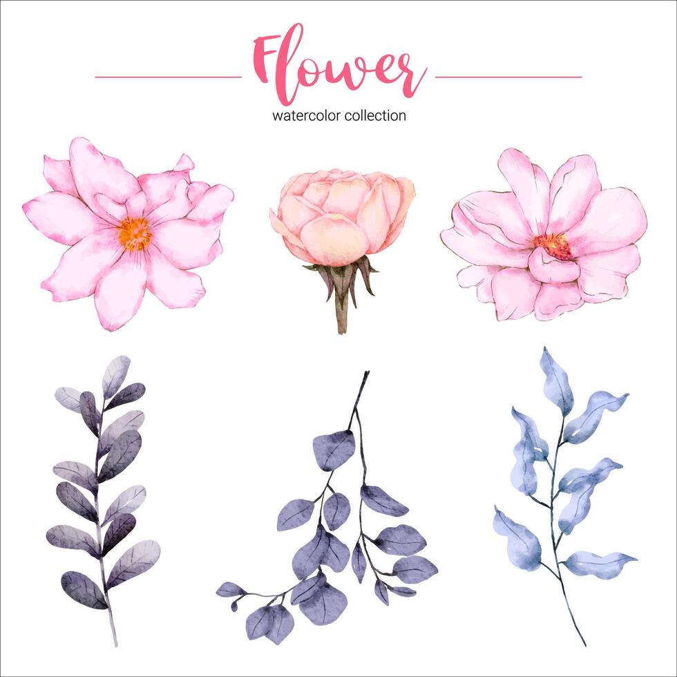 collection of watercolor illustration beautiful flower vector