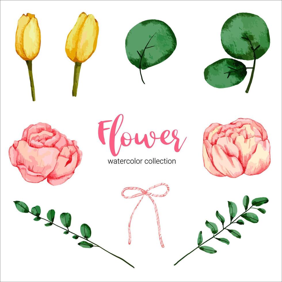 conjunto de flores de acuarela vector