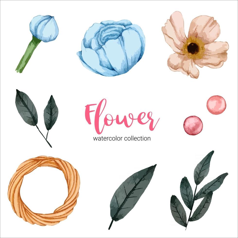 Watercolor flower set vector