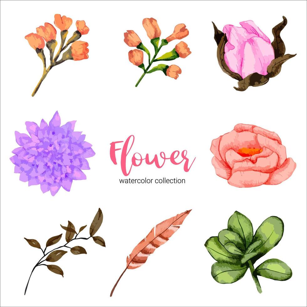 Watercolor flower set vector