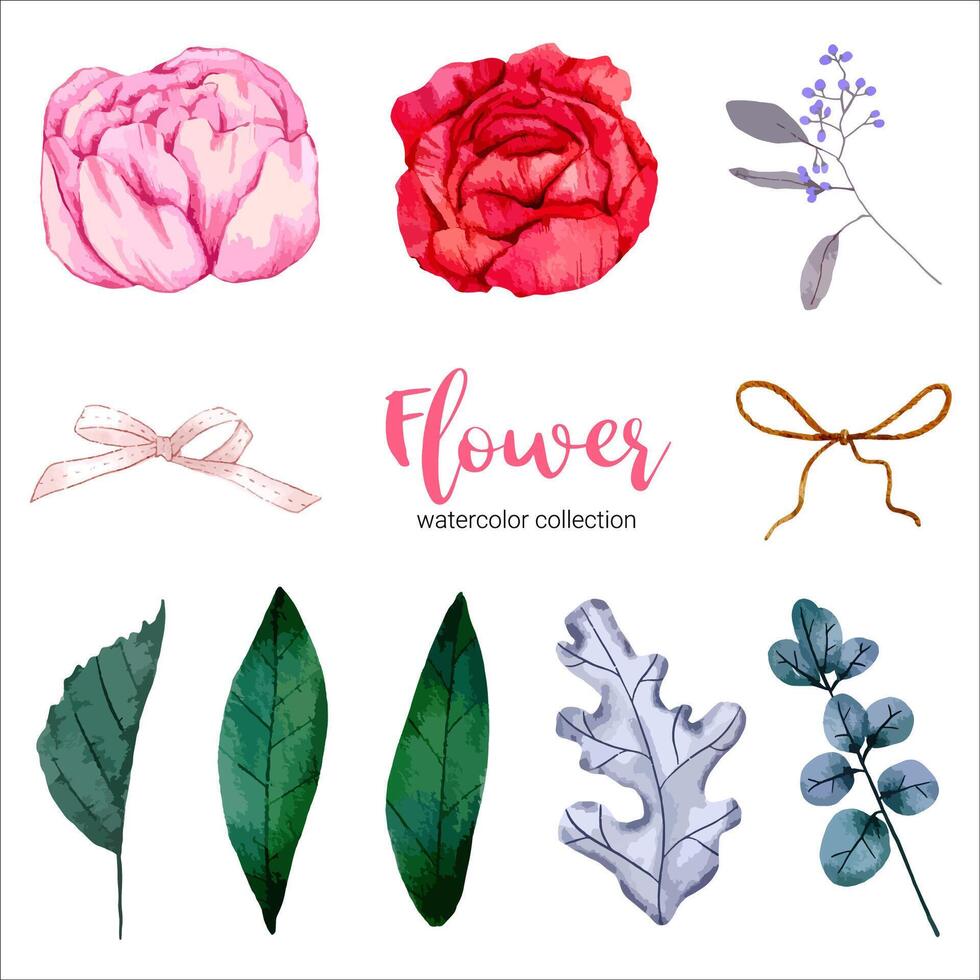 Watercolor flower set vector