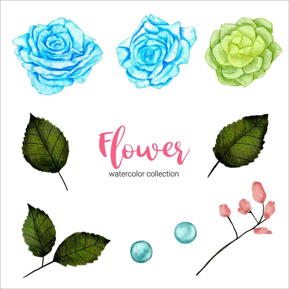 Watercolor flower set vector