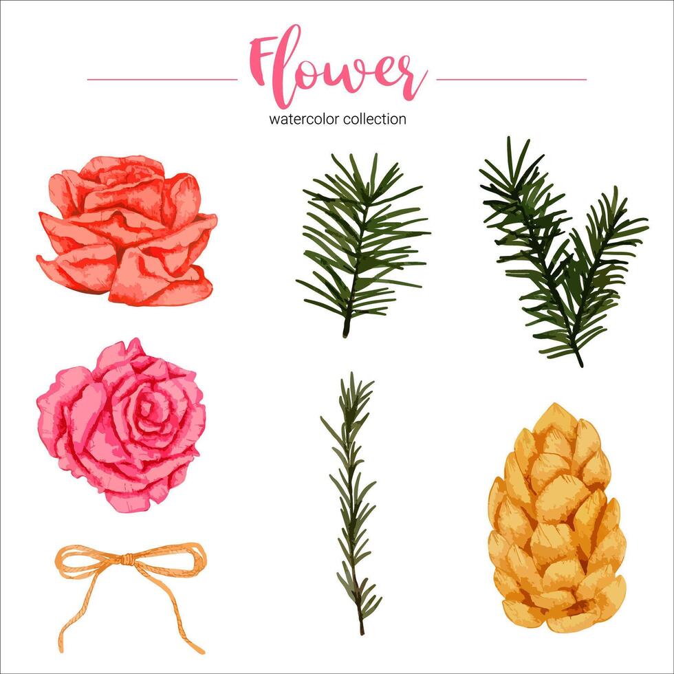 Watercolor flower set vector