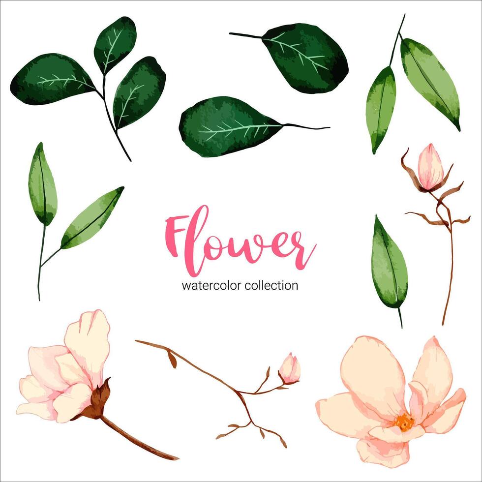 conjunto de flores de acuarela vector