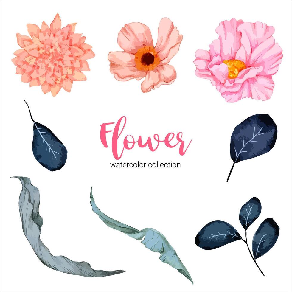 Watercolor flower set vector