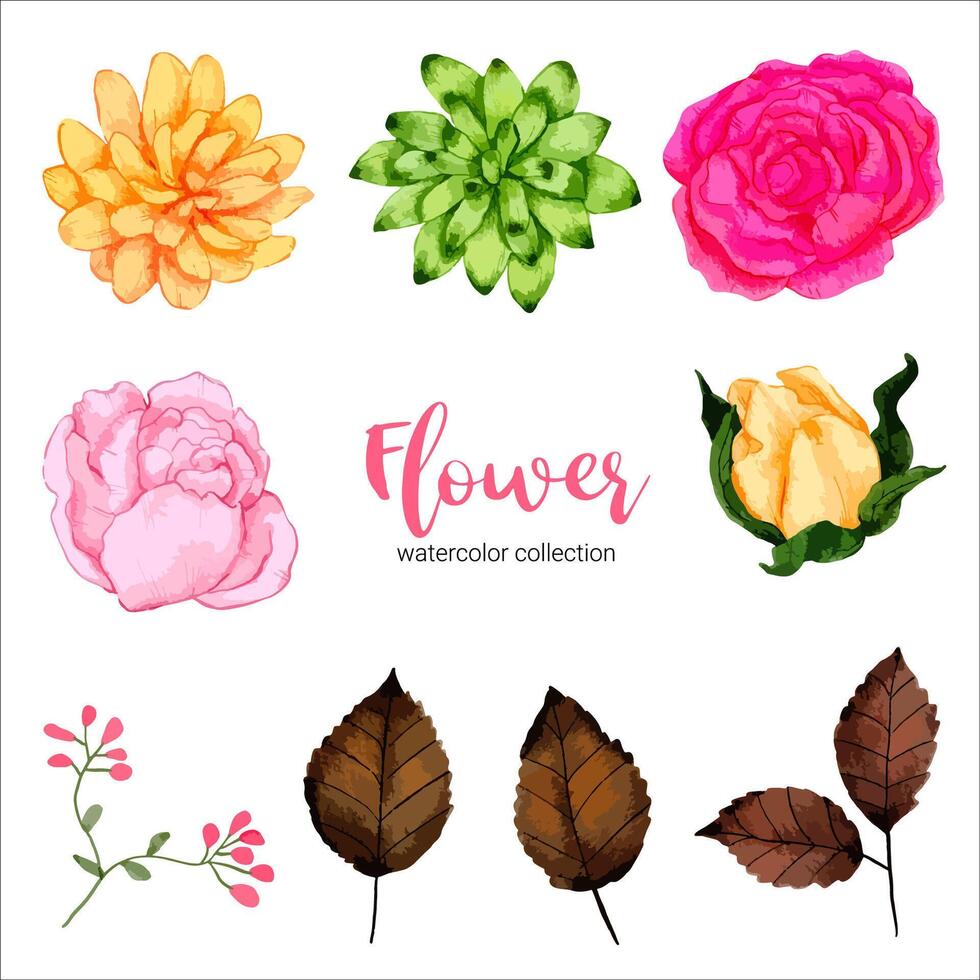 Watercolor flower set vector