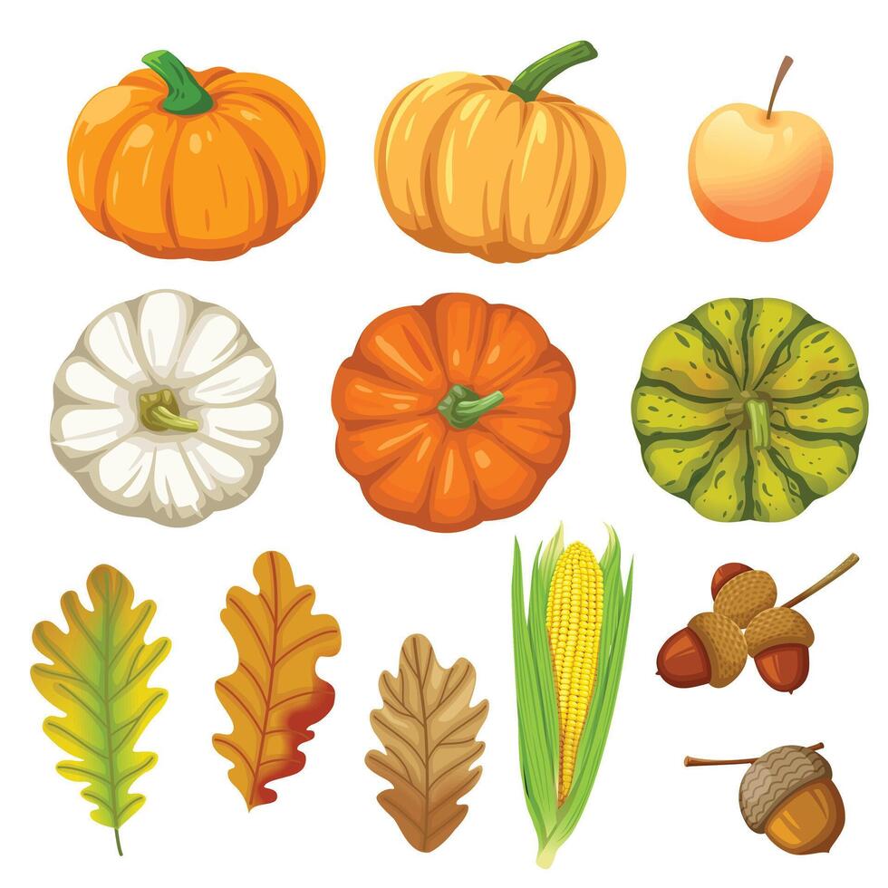 set of icons with Pumpkin, corn, walnuts and leaves. vector
