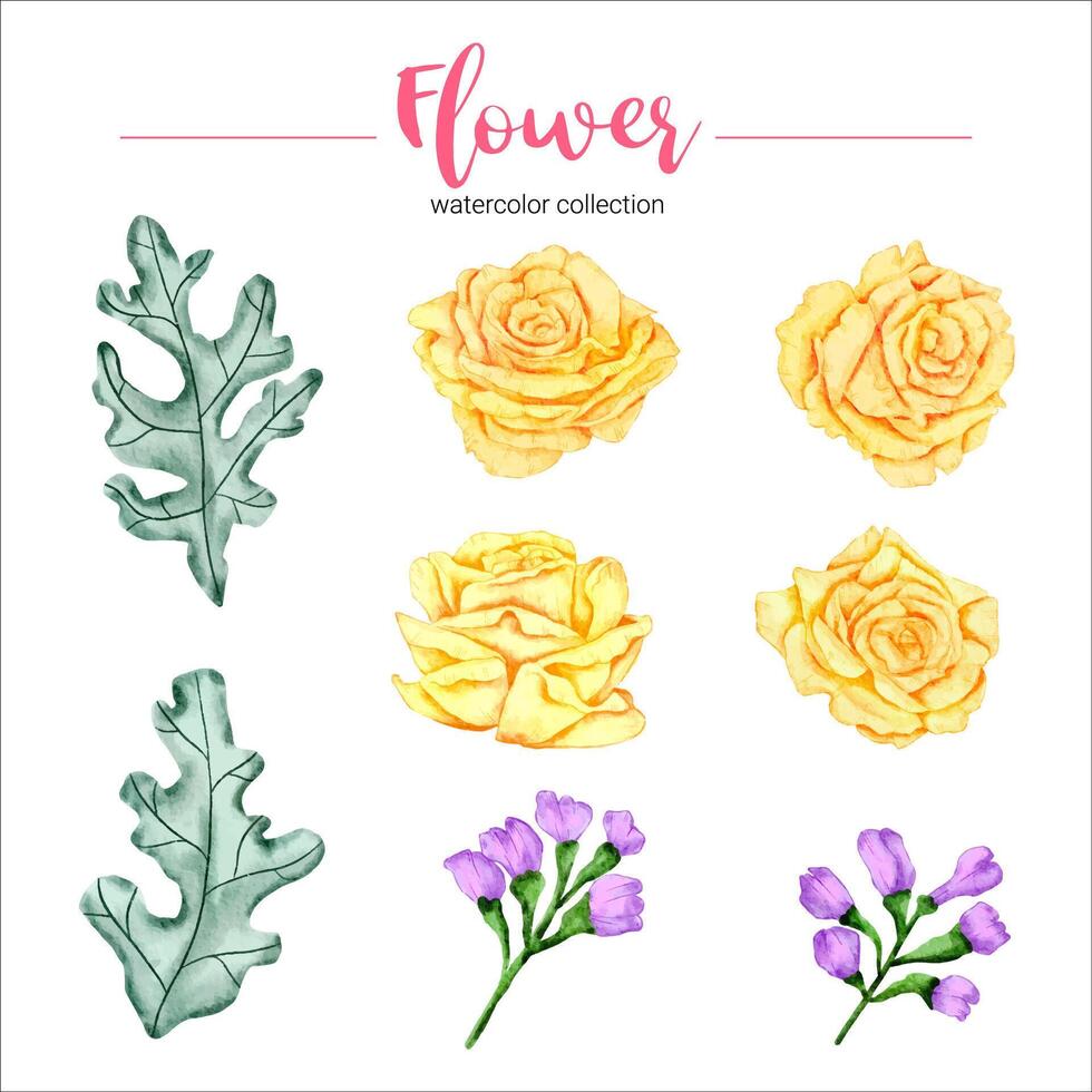 Watercolor flower set vector