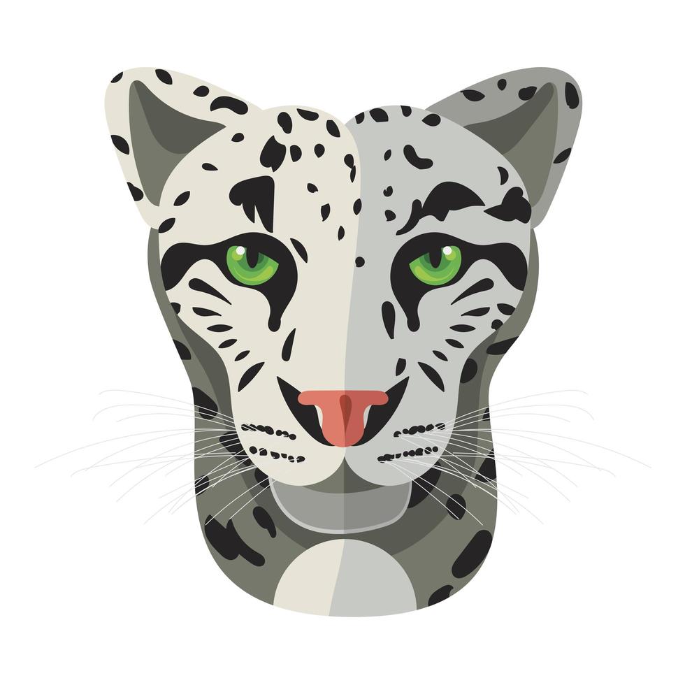 Wild cat, irbis, leopard, snow bars vector