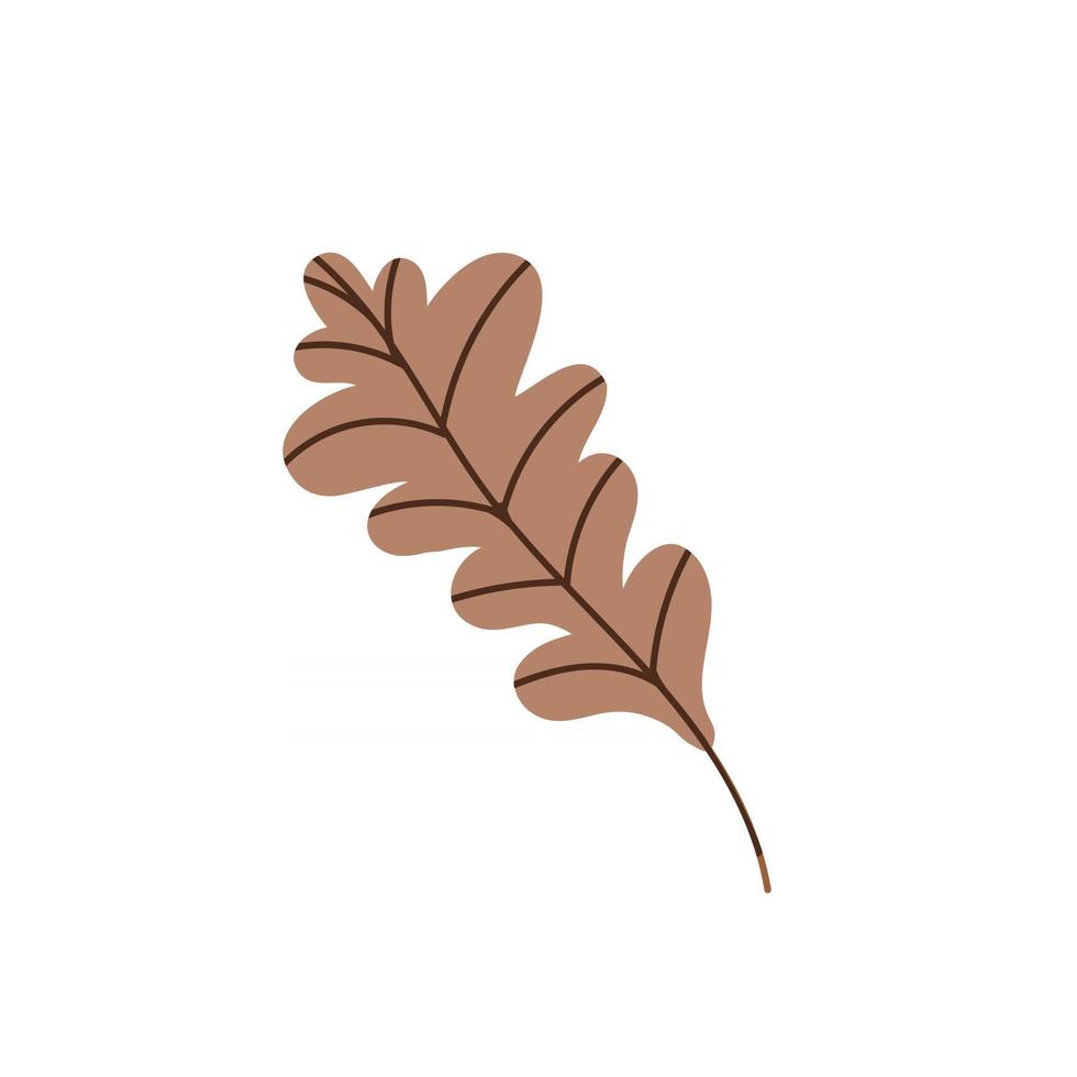 hoja de roble aislada en un fondo blanco. hoja de roble marrón caída. ilustración vectorial plana. hojas de otoño vector