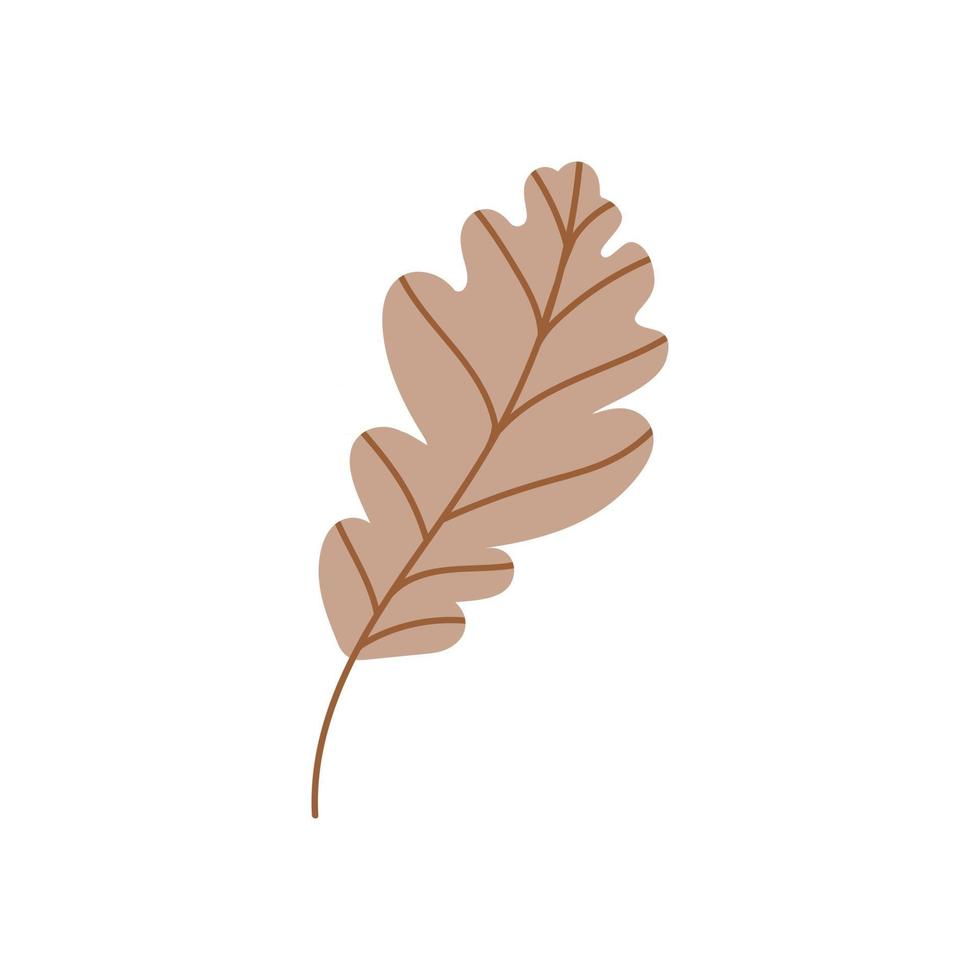 oak leaf isolated on a white background. Fallen brown oak leaf. Flat vector illustration. Autumn leaves