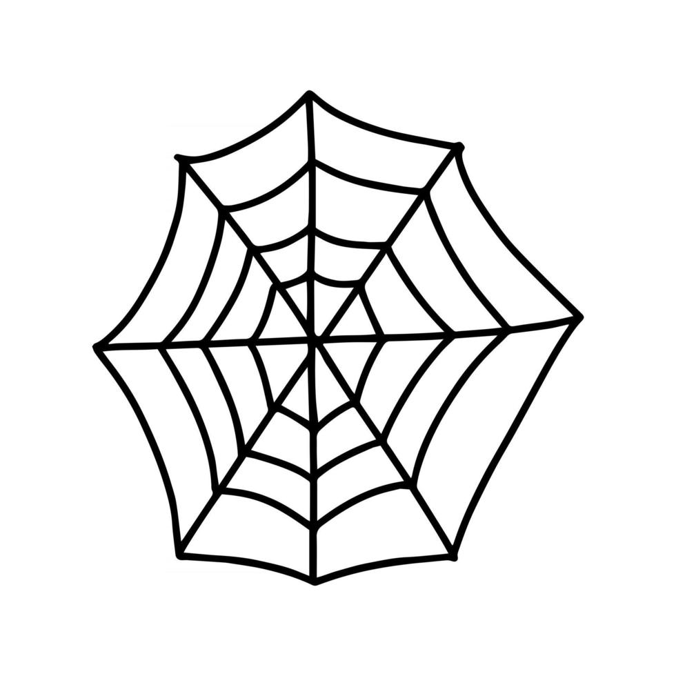 spider web. vector illustration