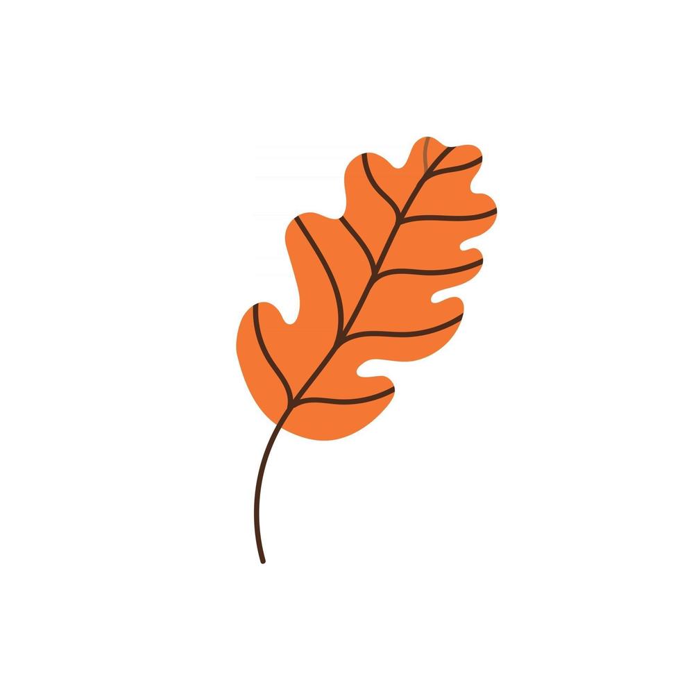 oak leaf isolated on a white background. Fallen brown oak leaf. Flat vector illustration. Autumn leaves