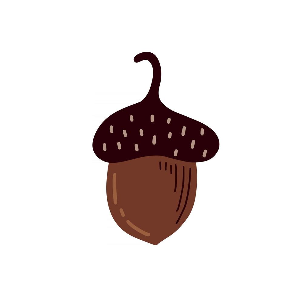 Hazelnuts on a white background. Vector illustration in doodle style