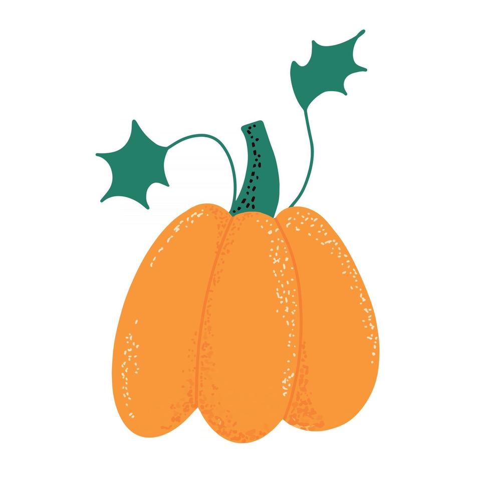 calabaza para el día de acción de gracias y el diseño de halloween cosecha de otoño. Verduras orgánicas de otoño. vector ilustración plana