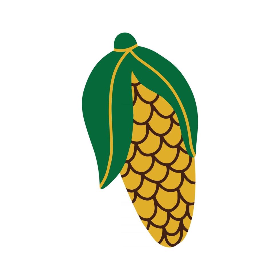 Ripe corn. Autumn vegetable. Simple vector illustration