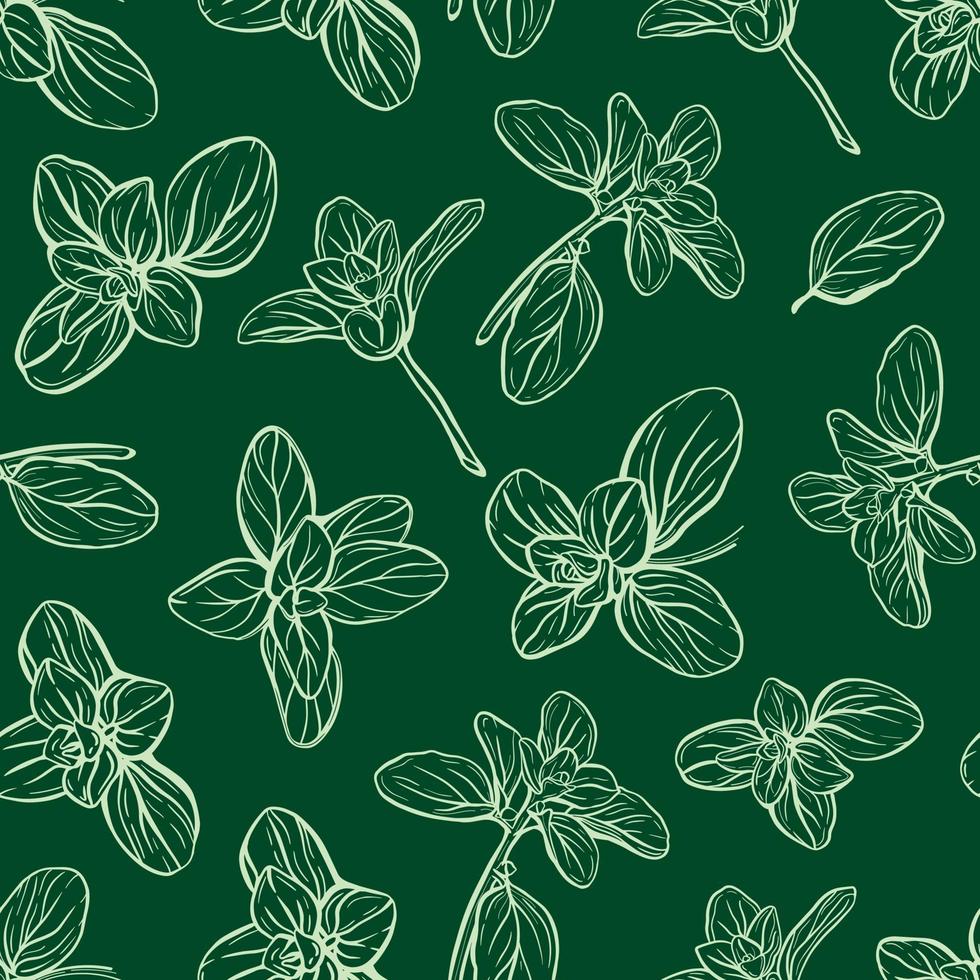 basil leaves and herbs seamless pattern vector