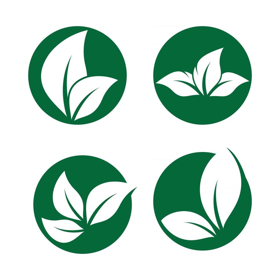 imagenes de logo de hoja vector