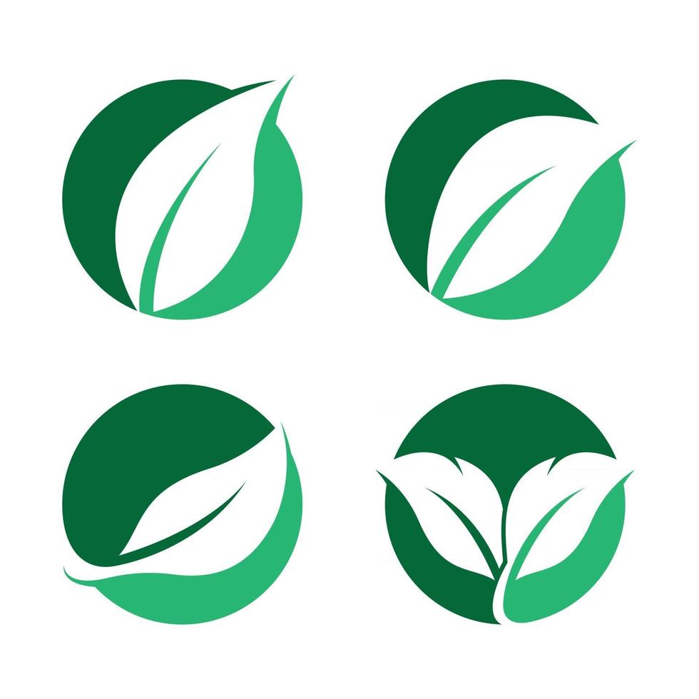 imagenes de logo de hoja vector