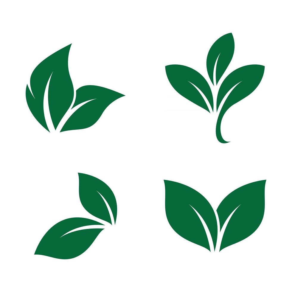 imagenes de logo de hoja vector