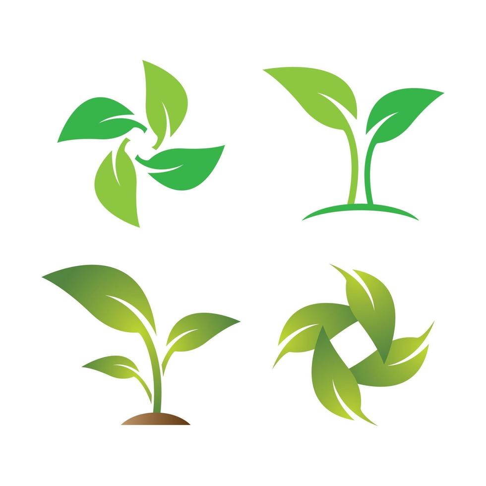 Leaf logo images vector