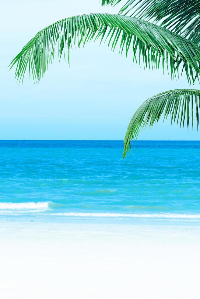 tropical white sand beach under blue sky and cloud background.  traveling summer concept. photo