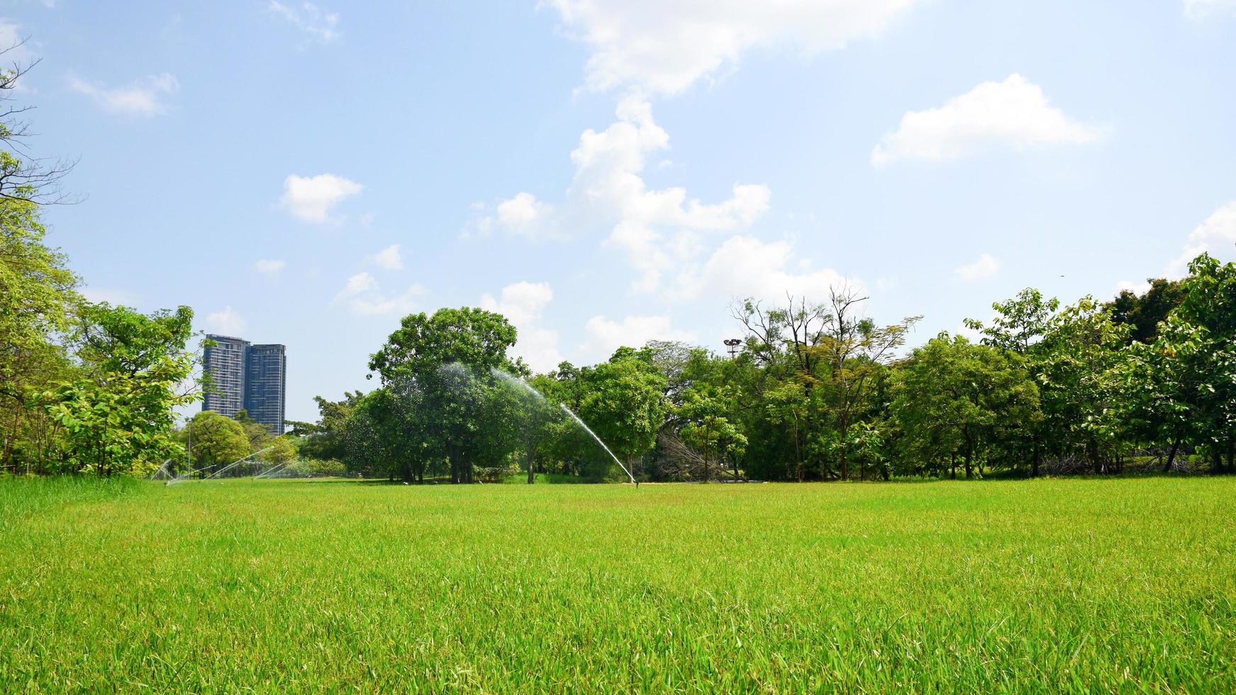 Beautiful park and green tree plant in public park with green grass field. photo