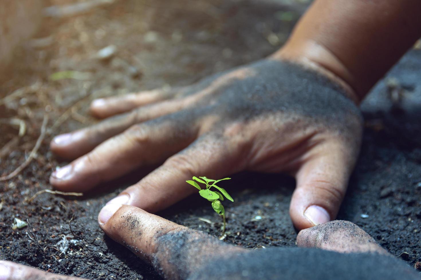 Hands protect growing plants. Save Earth Planet World Concept. Save nature. Environment protection. narturing tree growing on fertile soil. photo