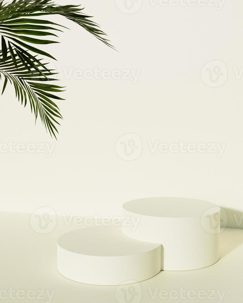 pastel color product display podium with leaf. 3D rendering photo