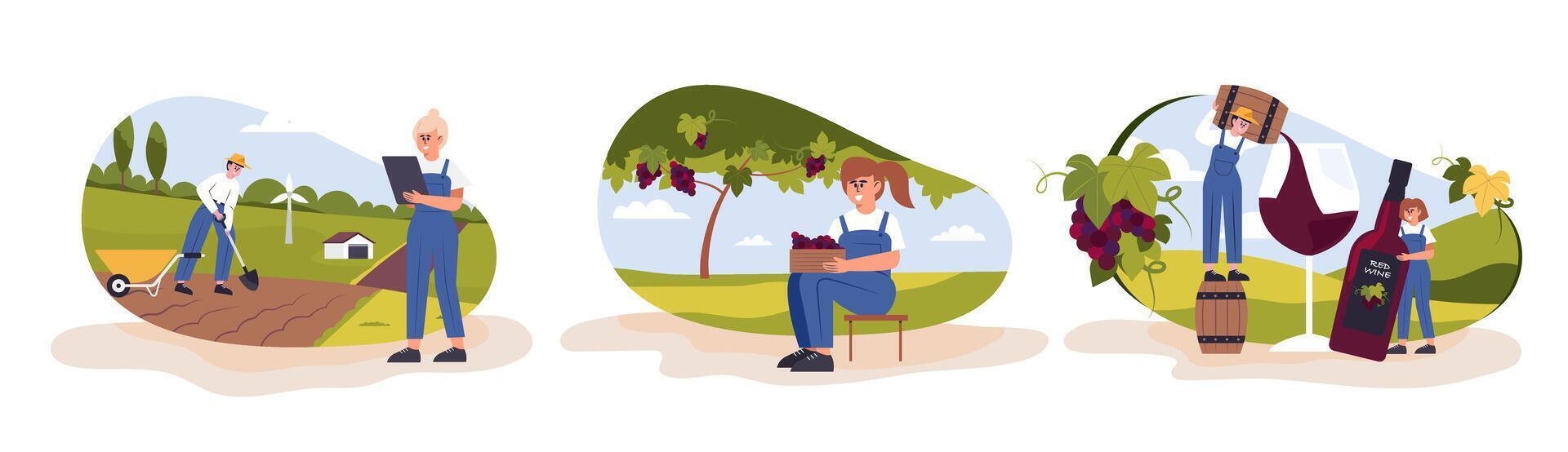 A grape farmer cultivates and harvests grapes for use in wine making. vector