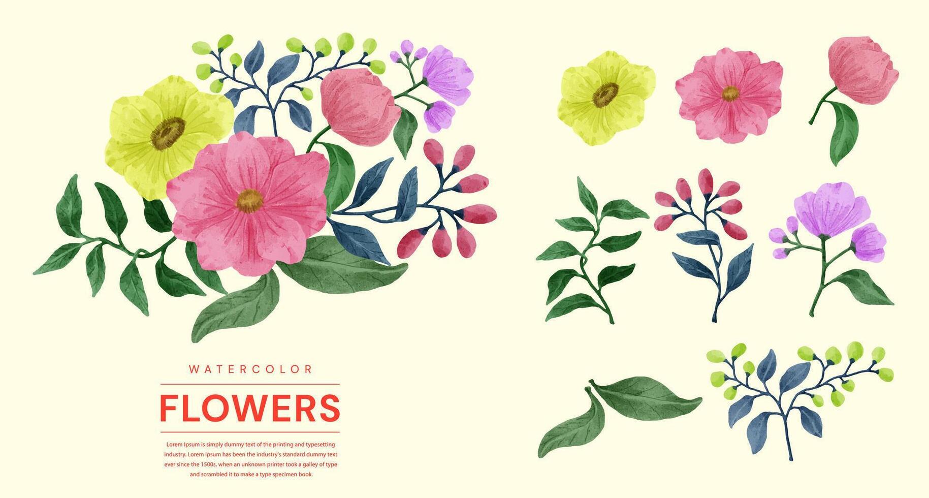 A set of flowers painted in watercolor for various cards and greeting cards. vector