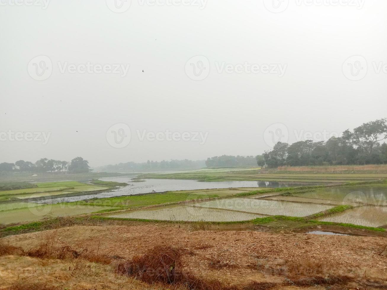 wetlands with nature in morning photo