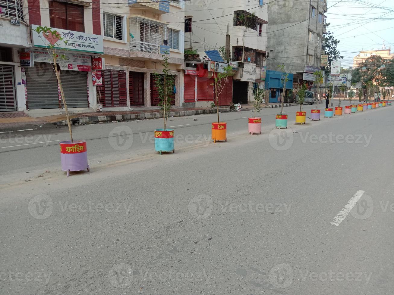 tree plantation on dram on road photo