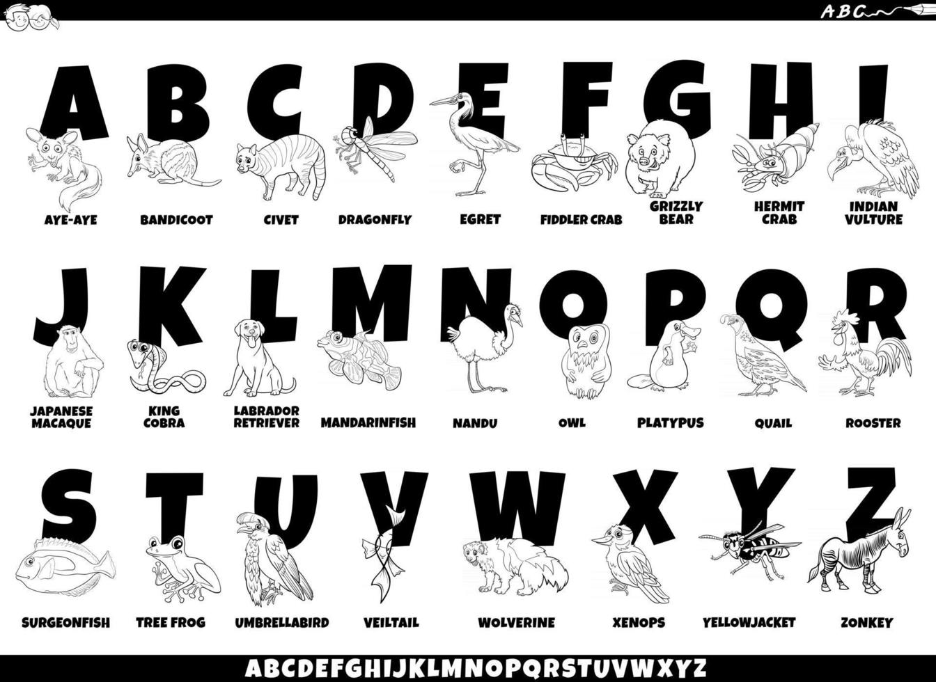 cartoon alphabet set with funny animals coloring page vector